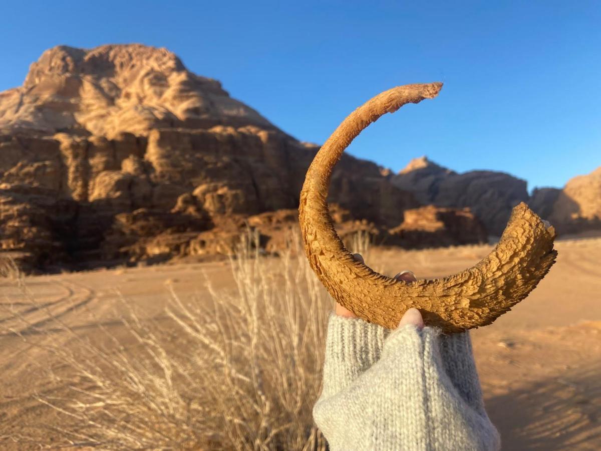 Wadi Rum Albasli Dış mekan fotoğraf