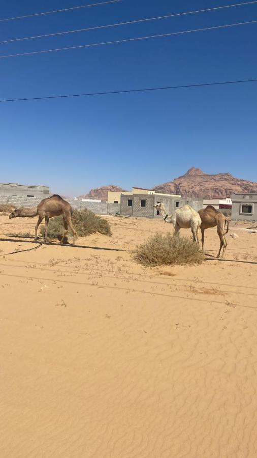 Wadi Rum Albasli Dış mekan fotoğraf
