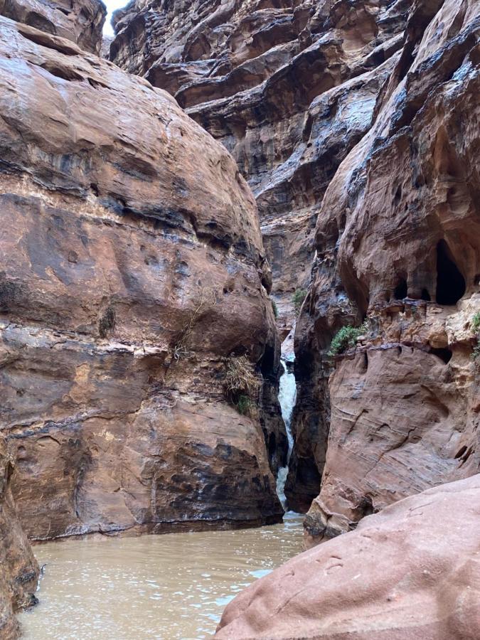 Wadi Rum Albasli Dış mekan fotoğraf