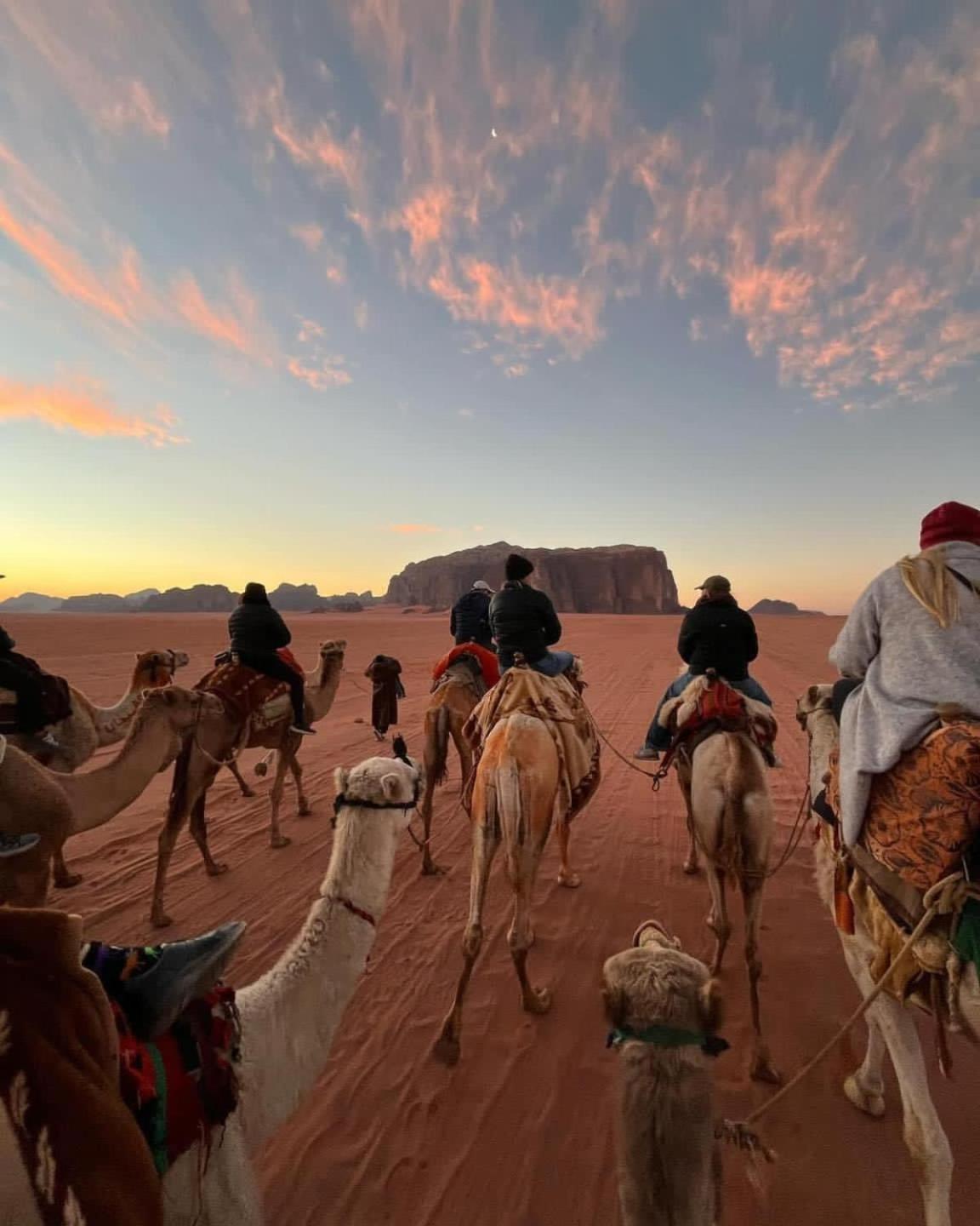 Wadi Rum Albasli Dış mekan fotoğraf