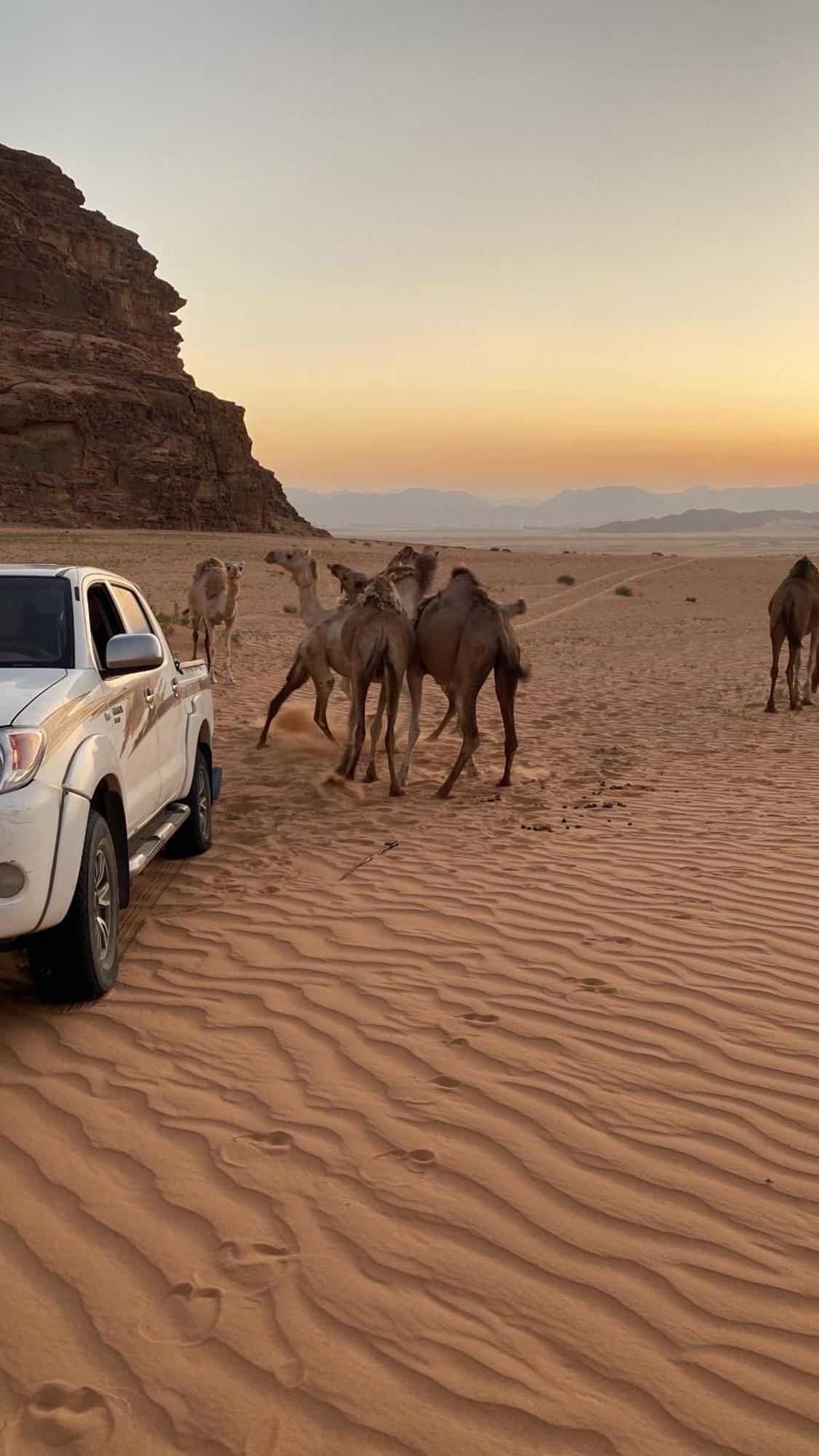 Wadi Rum Albasli Dış mekan fotoğraf