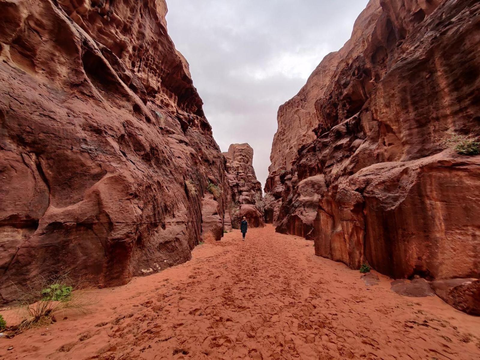 Wadi Rum Albasli Dış mekan fotoğraf